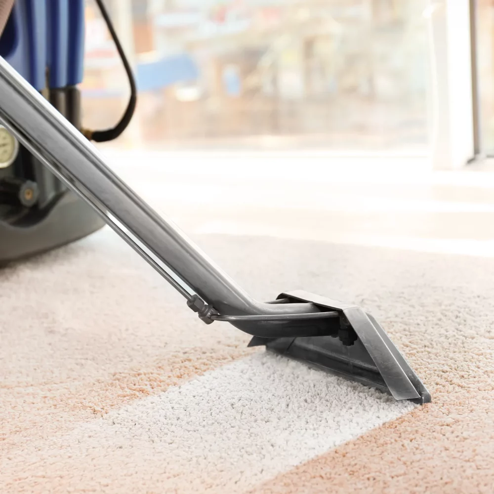 Carpet-Cleaning-Company-Geelong Carpet-Cleaning-Company-Geelong