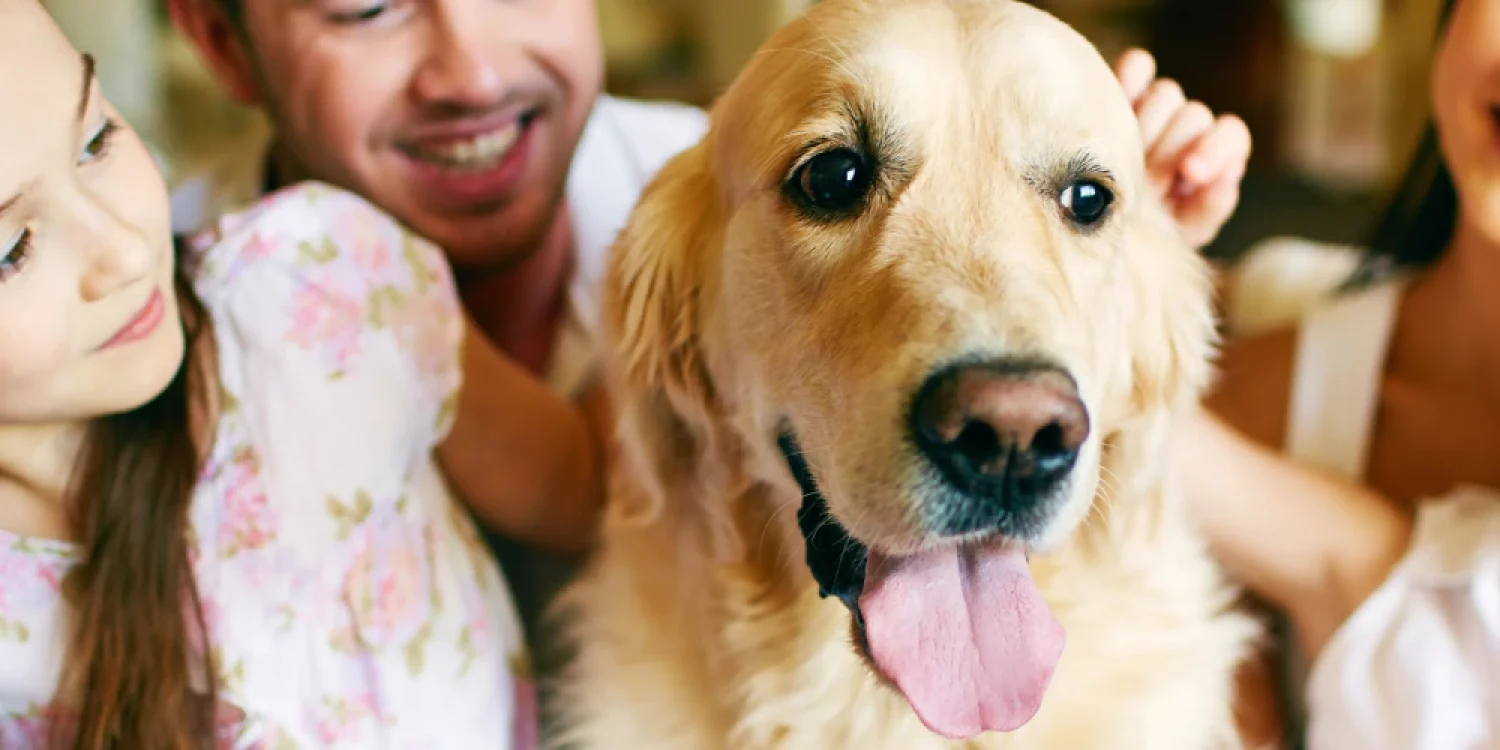 Pet-Odour-Cleaning-Tips